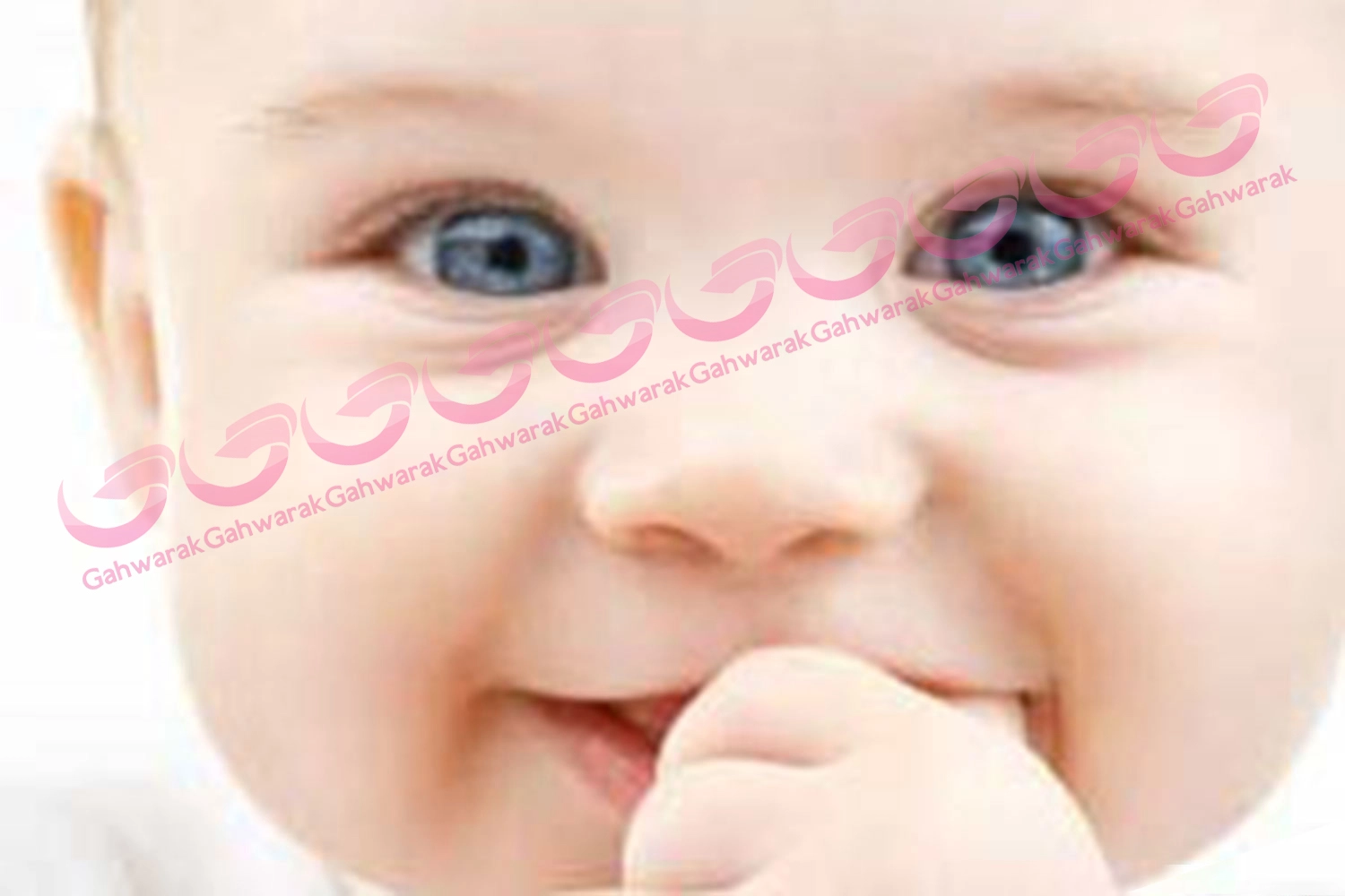 چاپ چهارم کتاب نخبه افغانستانی در انتشارات به‌نشر