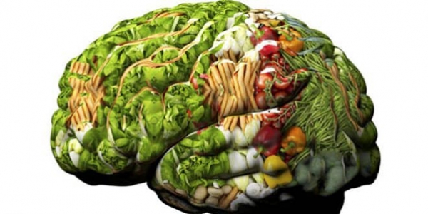 غذاهایی که مغز کودکان را فعال می کند