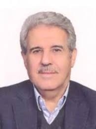 دکتر سید محمد هادی امیریان